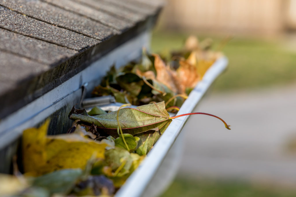 clean gutters in the spring